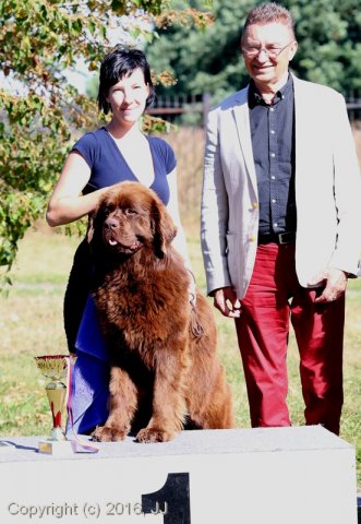 Džbán 4.9.2016 - Klubová výstava CAC