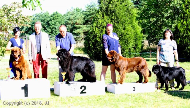 Džbán 4.9.2016 - Klubová výstava CAC