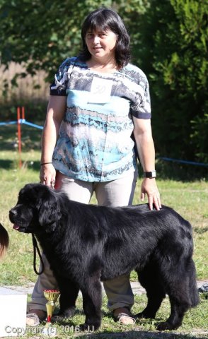 Džbán 4.9.2016 - Klubová výstava CAC