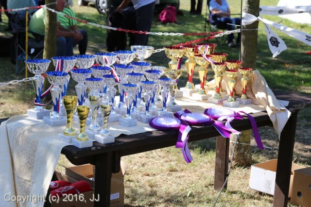 Džbán 4.9.2016 - Klubová výstava CAC