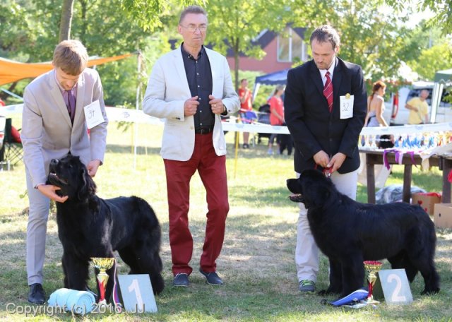 Džbán 4.9.2016 - Klubová výstava CAC