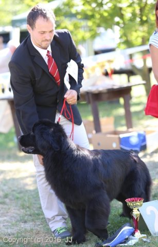 Džbán 4.9.2016 - Klubová výstava CAC