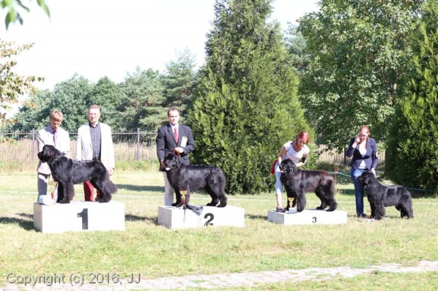 Džbán 4.9.2016 - Klubová výstava CAC