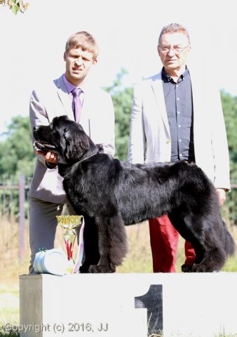 Džbán 4.9.2016 - Klubová výstava CAC