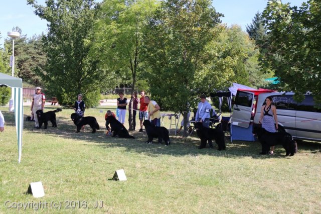 Džbán 4.9.2016 - Klubová výstava CAC