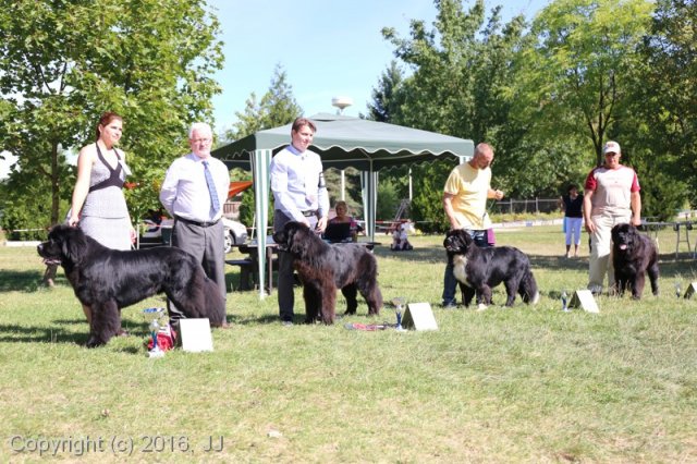 Džbán 4.9.2016 - Klubová výstava CAC