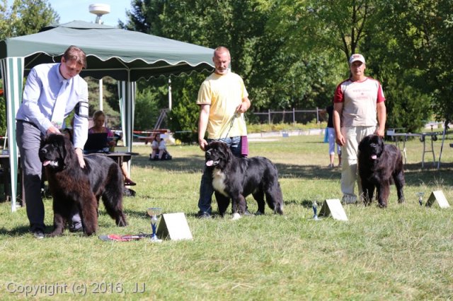 Džbán 4.9.2016 - Klubová výstava CAC