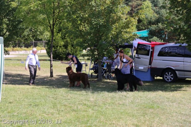 Džbán 4.9.2016 - Klubová výstava CAC