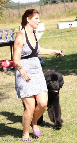 Džbán 4.9.2016 - Klubová výstava CAC