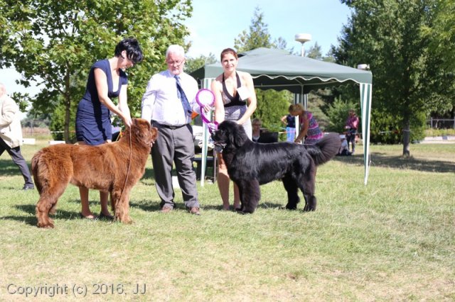 Džbán 4.9.2016 - Klubová výstava CAC