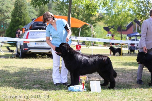 Džbán 4.9.2016 - Klubová výstava CAC