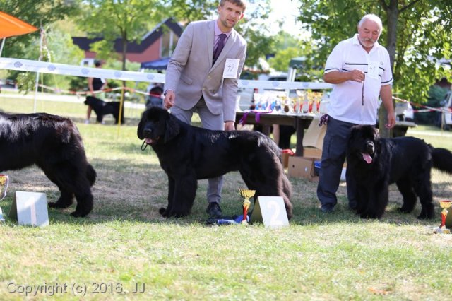 Džbán 4.9.2016 - Klubová výstava CAC