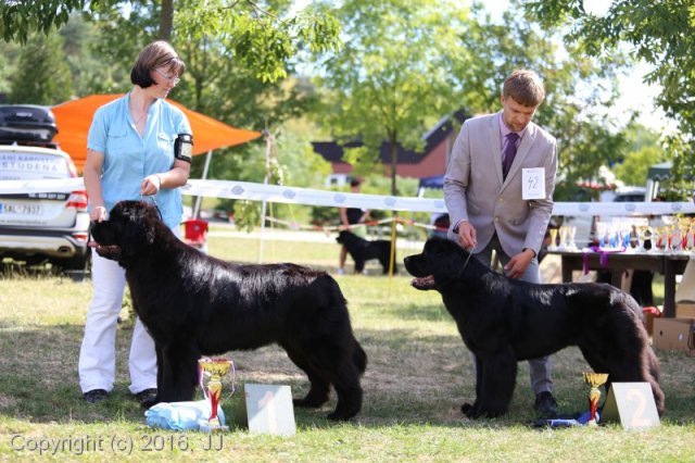 Džbán 4.9.2016 - Klubová výstava CAC