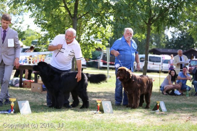 Džbán 4.9.2016 - Klubová výstava CAC