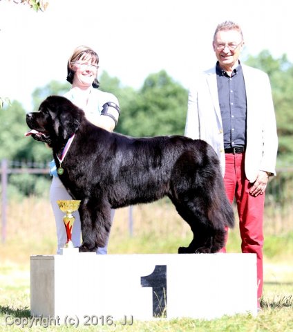 Džbán 4.9.2016 - Klubová výstava CAC