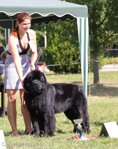 Džbán 4.9.2016 - Klubová výstava CAC