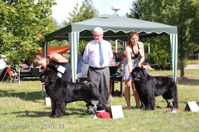 Džbán 4.9.2016 - Klubová výstava CAC