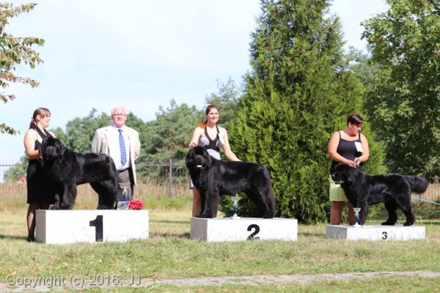 Džbán 4.9.2016 - Klubová výstava CAC