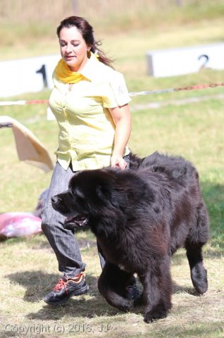 Džbán 4.9.2016 - Klubová výstava CAC