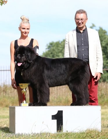 Džbán 4.9.2016 - Klubová výstava CAC