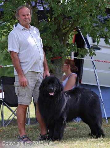 Džbán 4.9.2016 - Klubová výstava CAC