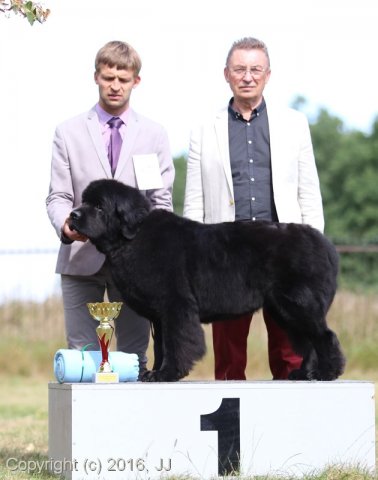 Džbán 4.9.2016 - Klubová výstava CAC