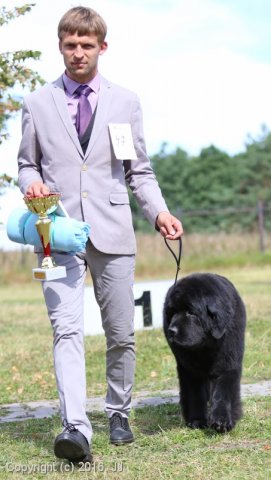 Džbán 4.9.2016 - Klubová výstava CAC