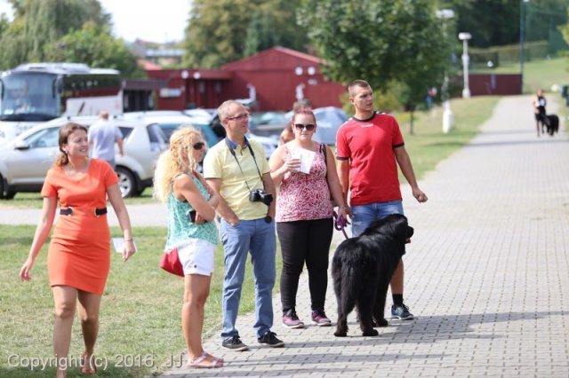 Džbán 4.9.2016 - Klubová výstava CAC