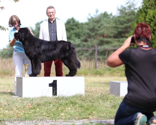 Džbán 4.9.2016 - Klubová výstava CAC