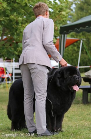 Džbán 4.9.2016 - Klubová výstava CAC