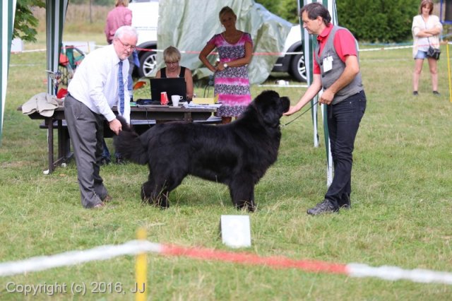 Džbán 4.9.2016 - Klubová výstava CAC