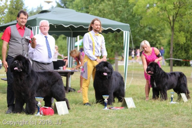 Džbán 4.9.2016 - Klubová výstava CAC
