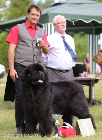 Džbán 4.9.2016 - Klubová výstava CAC