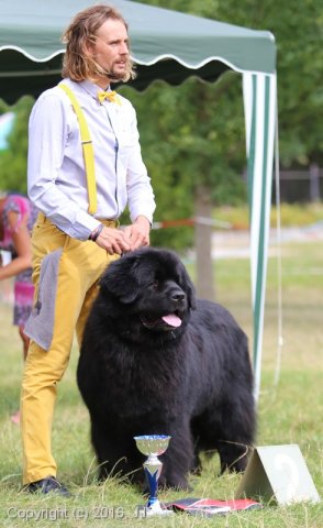 Džbán 4.9.2016 - Klubová výstava CAC