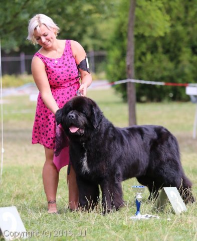 Džbán 4.9.2016 - Klubová výstava CAC