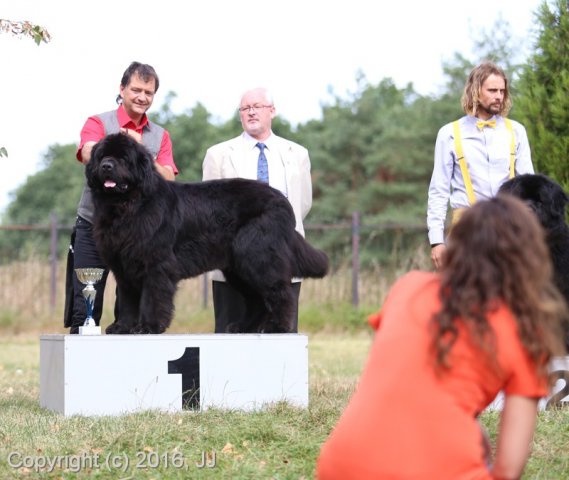 Džbán 4.9.2016 - Klubová výstava CAC