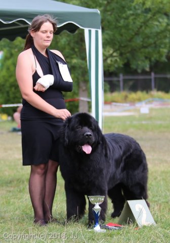 Džbán 4.9.2016 - Klubová výstava CAC