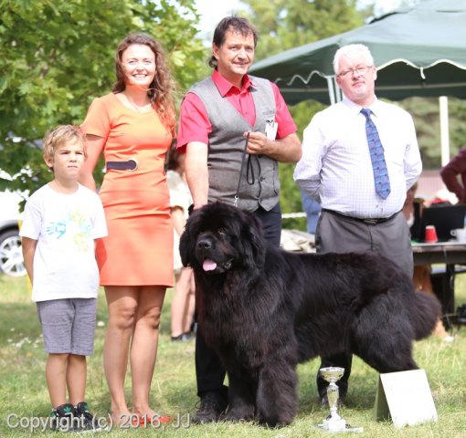 Džbán 4.9.2016 - Klubová výstava CAC
