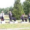 Džbán 4.9.2016 - Klubová výstava CAC