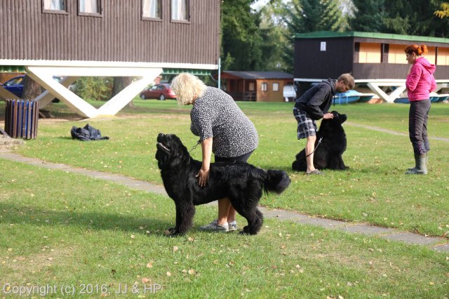 1.10.2016 Nová Živohošť
