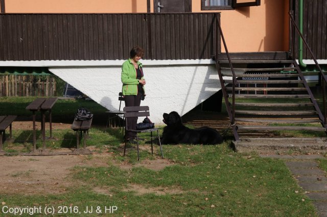 1.10.2016 Nová Živohošť