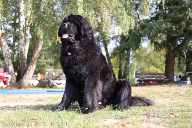 1.10.2016 Nová Živohošť