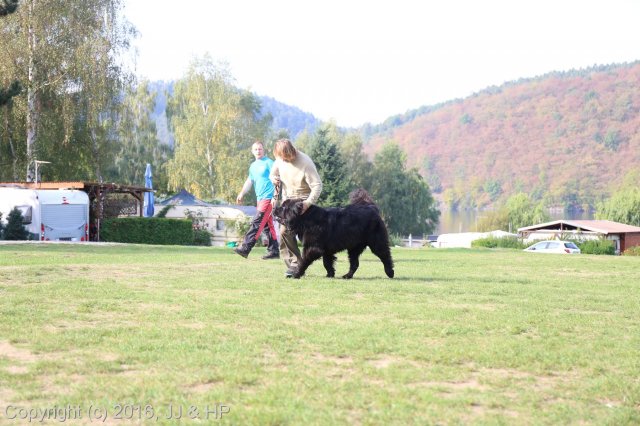 1.10.2016 Nová Živohošť