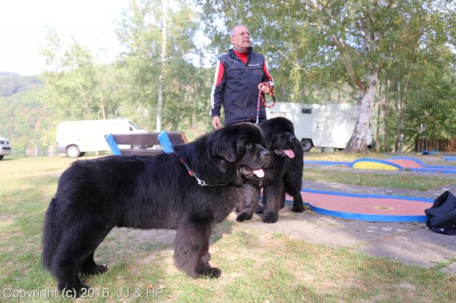 1.10.2016 Nová Živohošť