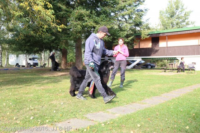 1.10.2016 Nová Živohošť