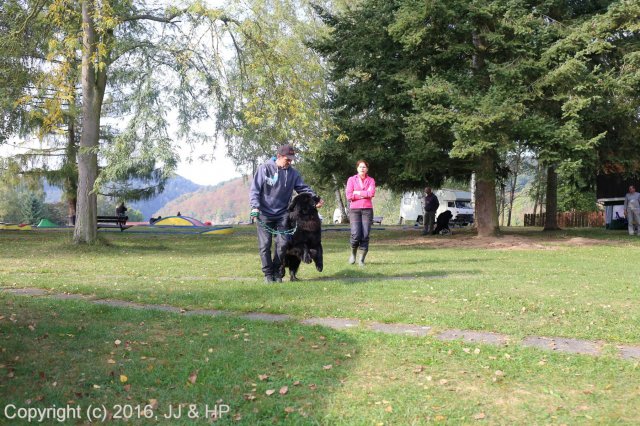 1.10.2016 Nová Živohošť