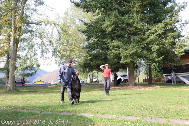 1.10.2016 Nová Živohošť