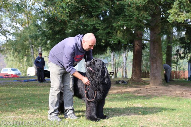 1.10.2016 Nová Živohošť