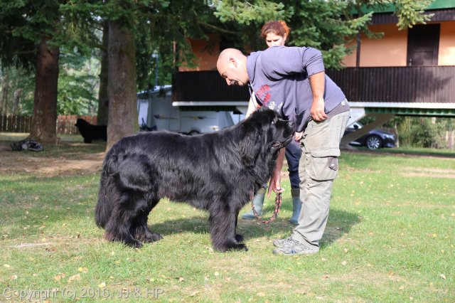 1.10.2016 Nová Živohošť
