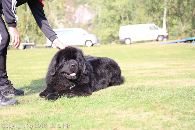 1.10.2016 Nová Živohošť